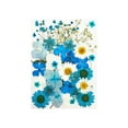 thumbnail image 1 of Dried Flowers Set Scrapbooking Decorating Real Flower Material: The Decal Handicraft Filling Pressed Specimen Label for Makeup Phone Use Type 4, 1 of 6