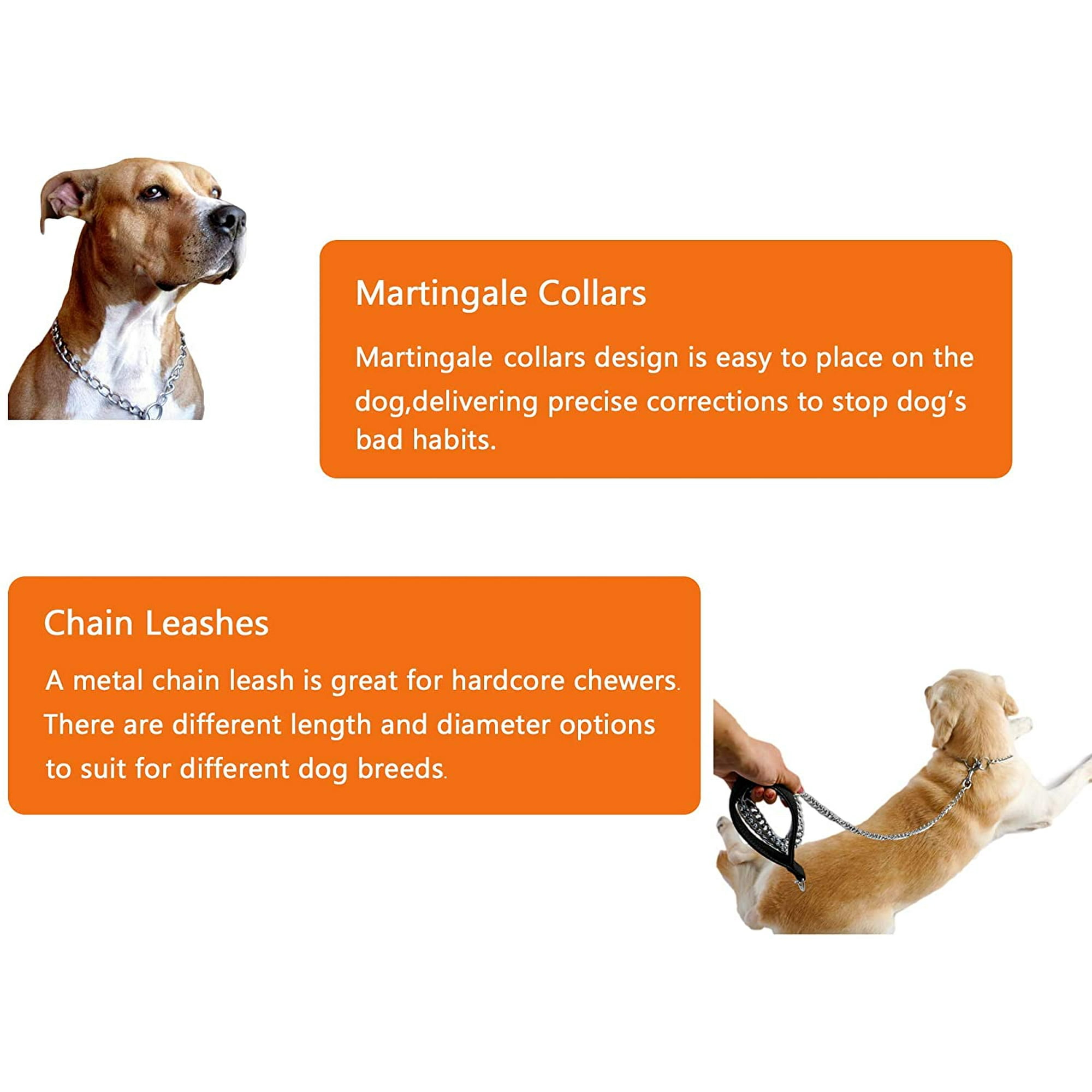 Is It Bad To Chain A Dog