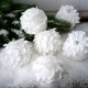 thumbnail image 4 of Xiao Hua 3 bolas de árbol de Navidad blancas de 3,94 pulgadas, adornos colgantes de flores blancas de Navidad con purpurina para Navidad, invierno, vacaciones, bodas, aniversarios, fiestas, blanco A, 4 of 4