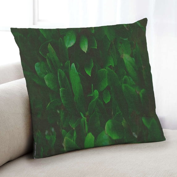 Ahgly Company Color Focus Green Indoor Throw Pillow, 18 inch by 18 inch