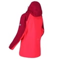 thumbnail image 2 of Regatta - Chaqueta impermeable modelo Birchdale para chica/mujer (Rosa Neón, Cereza Oscuro) Regatta UTRG3330_neonpinkdarkcerise, 2 of 2