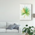 thumbnail image 3 of Trademark Fine Art 'Ocean Side Palms II' Canvas Art by Chariklia Zarris, 3 of 4