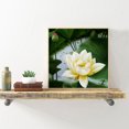 thumbnail image 3 of DIY redondo diamante pintura 5D diamante bordado blanco Lotus regalo costura Hugtrwg Para estrenar, 3 of 9