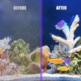 thumbnail image 4 of 6PCS Universal Humidifier Tank Cleaner，Warm & Cool Mist Humidifiers, Fish Tank，Compatible with Drop, Droplet, Adorable (Purple), 4 of 7