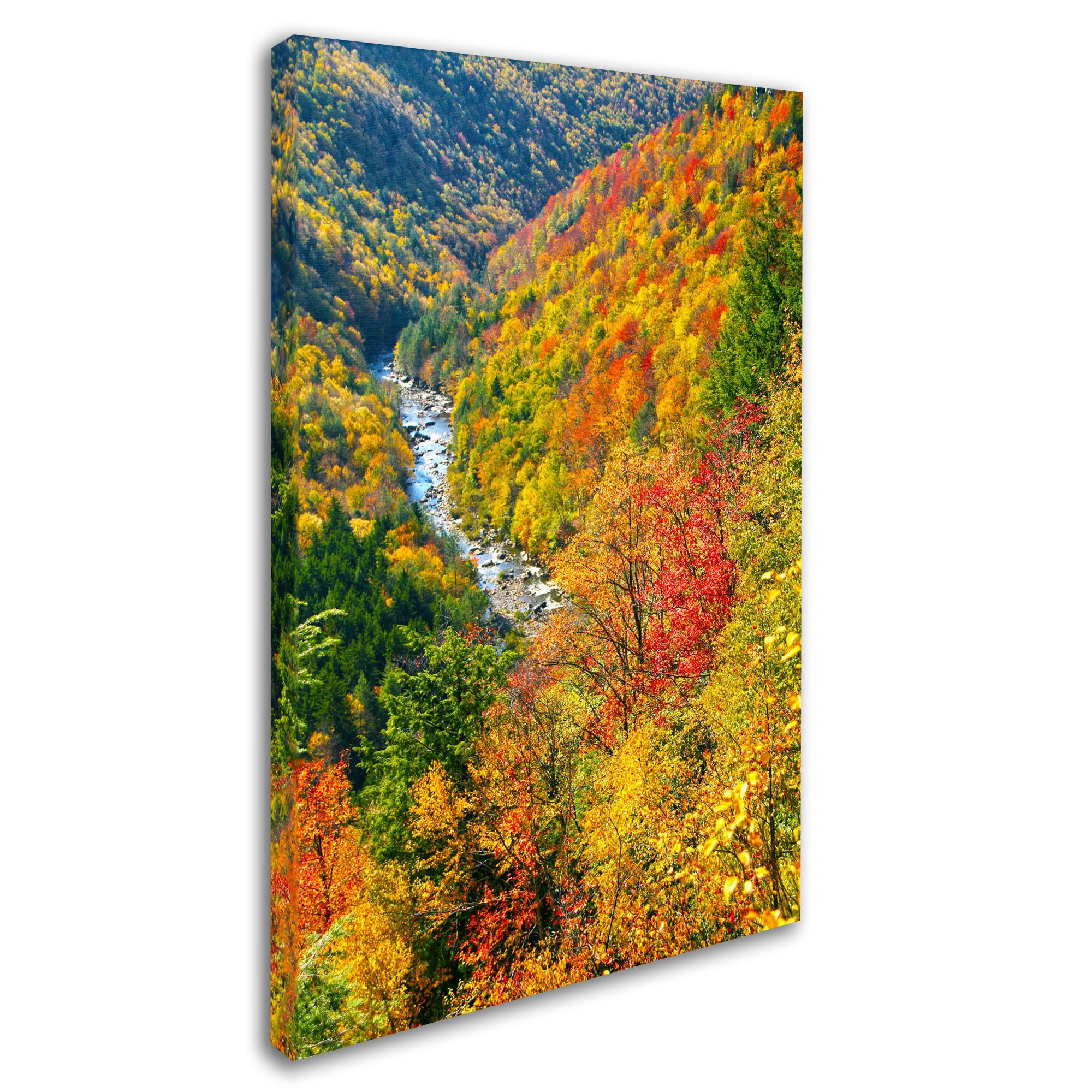 Trademark Fine Art "Valley" Canvas Art by CATeyes