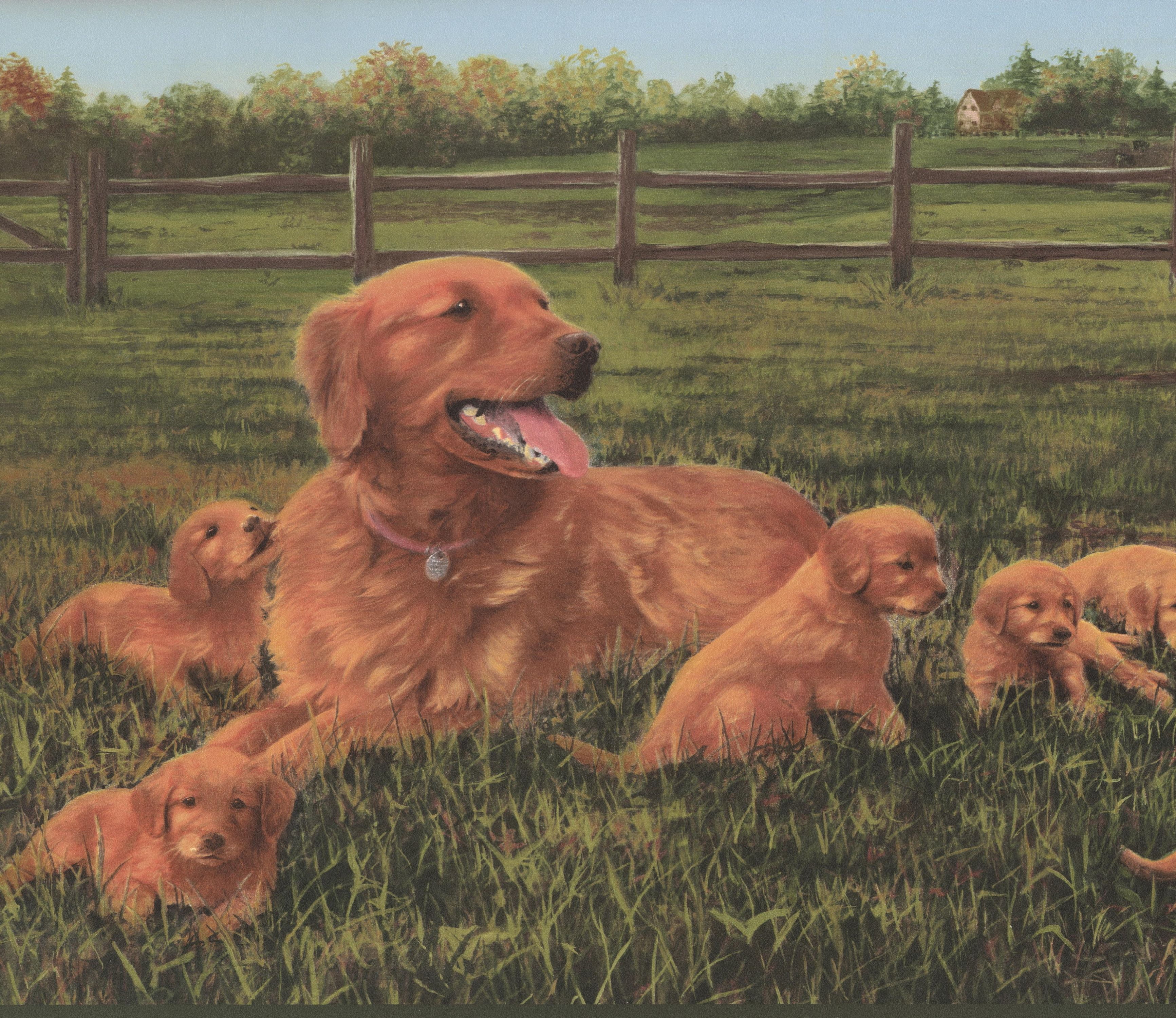 Wallpaper Border - Farm Dog Puppies in the Field Extra ...