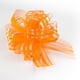 thumbnail image 2 of Moño Listón Naranja Chico 10 Piezas Pompón Selanusa, 2 of 2
