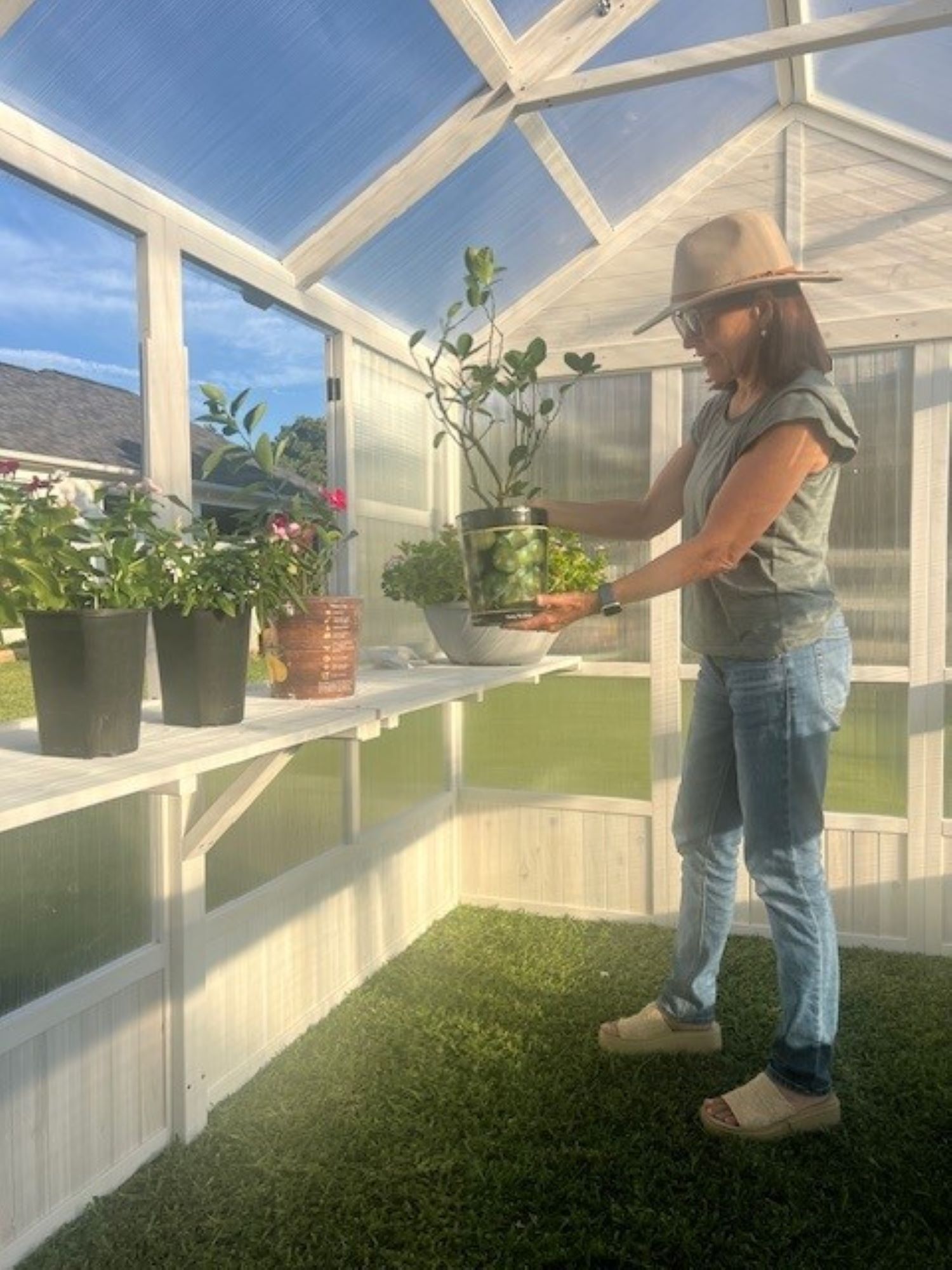 Zylina XL Hobby Greenhouse...Perfect for The Backyard Gardener - Dimensions: 103"x78"89
