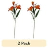 Image thumbnail_image