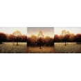 thumbnail image 2 of Hall, Travis 32x13 Gold Ornate Wood Framed with Double Matting Museum Art Print Titled - Trois Scenes, 2 of 4