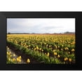 thumbnail image 2 of Styber, Dana 14x11 Black Modern Framed Museum Art Print Titled - Tulips at Sunset V, 2 of 5