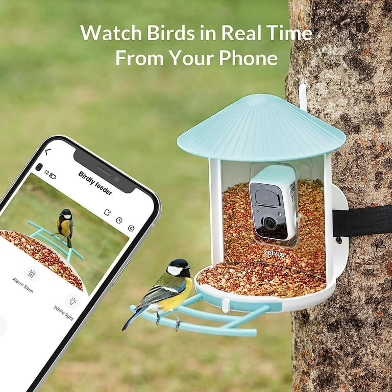 Bird Feeder with Camera, Netvue Birdfy Outdoor Bird Watching Camera with Solar Panel for Bird Lover, Size: One Size