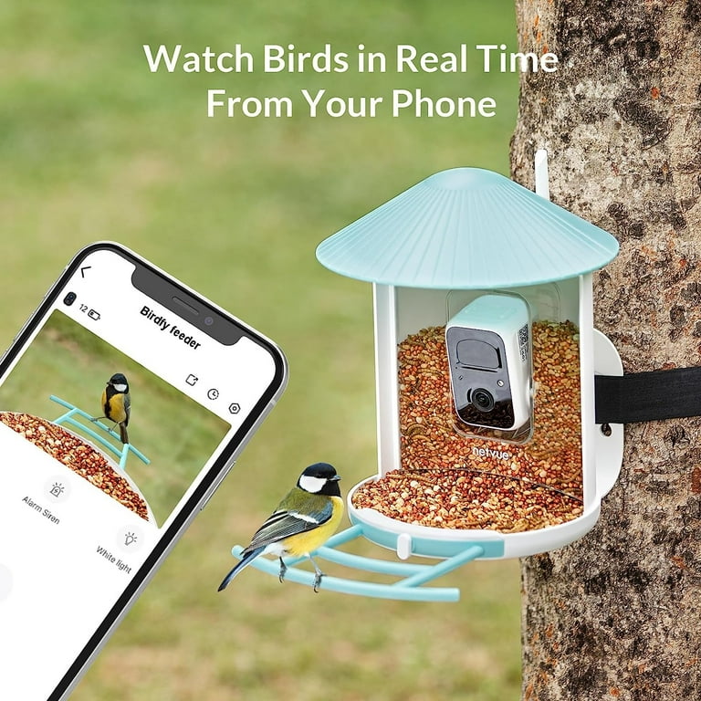 Netvue Birdfy Bird Feeder with Camera, Smart Bird Camera with