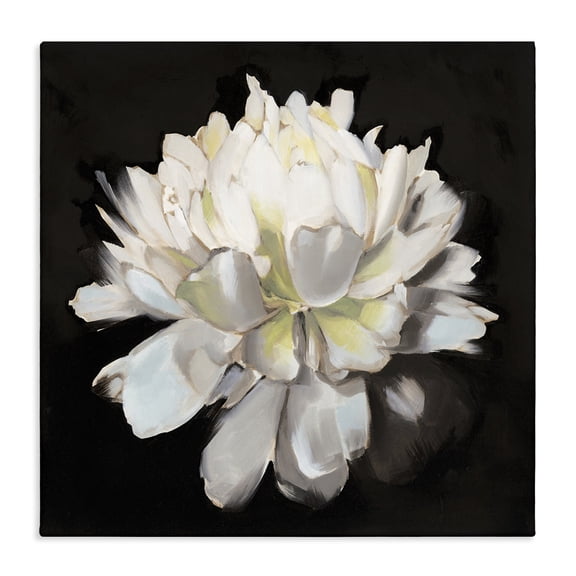 Stupell Industries Modern Flower Bloom White Green Canvas Art, 24 x 24, by Liz Jardine
