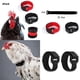 thumbnail image 4 of 12x Collar de pollo ajustable para que grite por negro, 4 of 8
