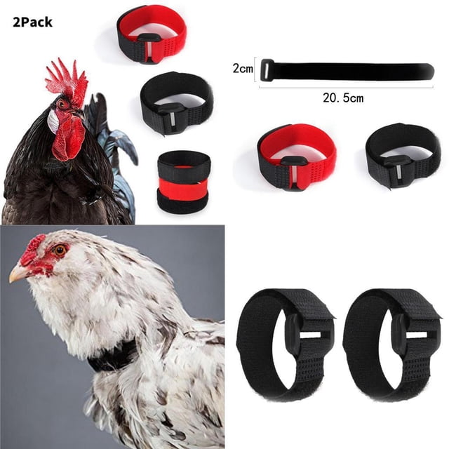 Collar Gallo Anti Cuervo Yinane 4 Piezas Negro