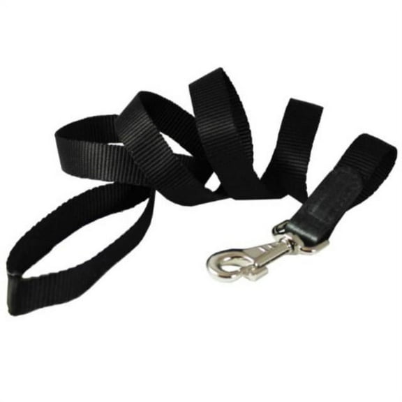 dog leash 1" wide nylon 5ft length with leather enforced snap black large