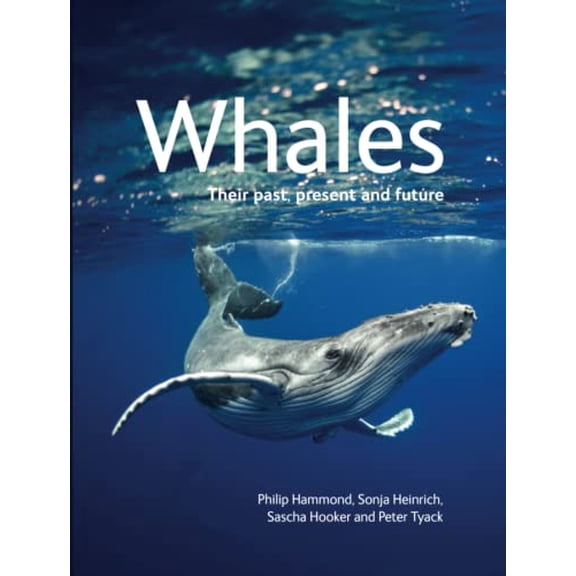 Pre-Owned WHALES