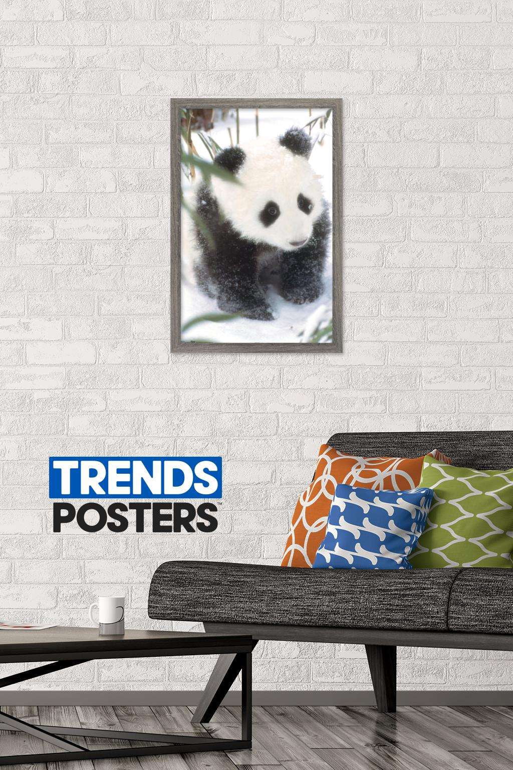 Animals - Panda in the Snow Wall Poster, 14.725" x 22.375", Framed