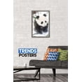 thumbnail image 2 of Animals - Panda in the Snow Wall Poster, 14.725" x 22.375", Framed, 2 of 3