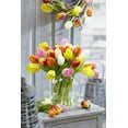 thumbnail image 1 of TASC Tulip Flower Bulbs-Tulip Triumph Assorted (20 Bulbs), 1 of 1