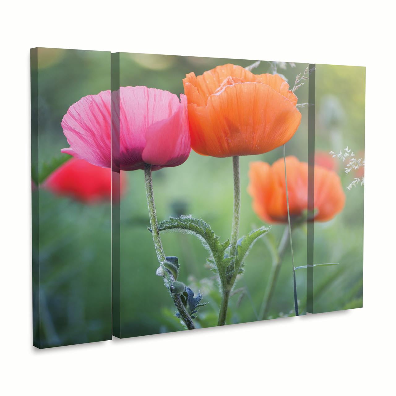 Trademark Fine Art 'Love Me Again' Canvas Art by Philippe Sainte-Laudy