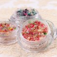 thumbnail image 3 of Nail Art Dried Flower Decoration Spring and Summer B8 Flower XBX Dried, 3 of 8