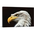 thumbnail image 1 of ARTCANVAS Bald Eagle Portrait Home decor Canvas Art Print - Size: 26" x 18" (0.75" Deep), 1 of 9