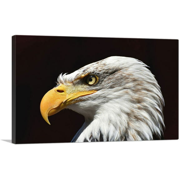 ARTCANVAS Bald Eagle Portrait Home decor Canvas Art Print - Size: 26" x 18" (0.75" Deep)