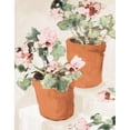 thumbnail image 3 of Slivka, Jane 15x18 Black Modern Framed Museum Art Print Titled - Potted Pink Geraniums, 3 of 5