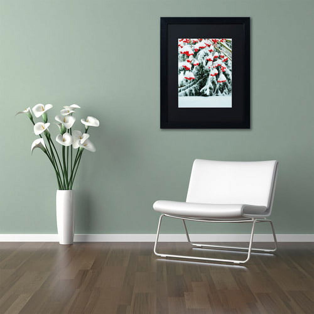 Trademark Fine Art "Winter Berries and Pine" Canvas Art by Kurt Shaffer Black Matte, Black Frame