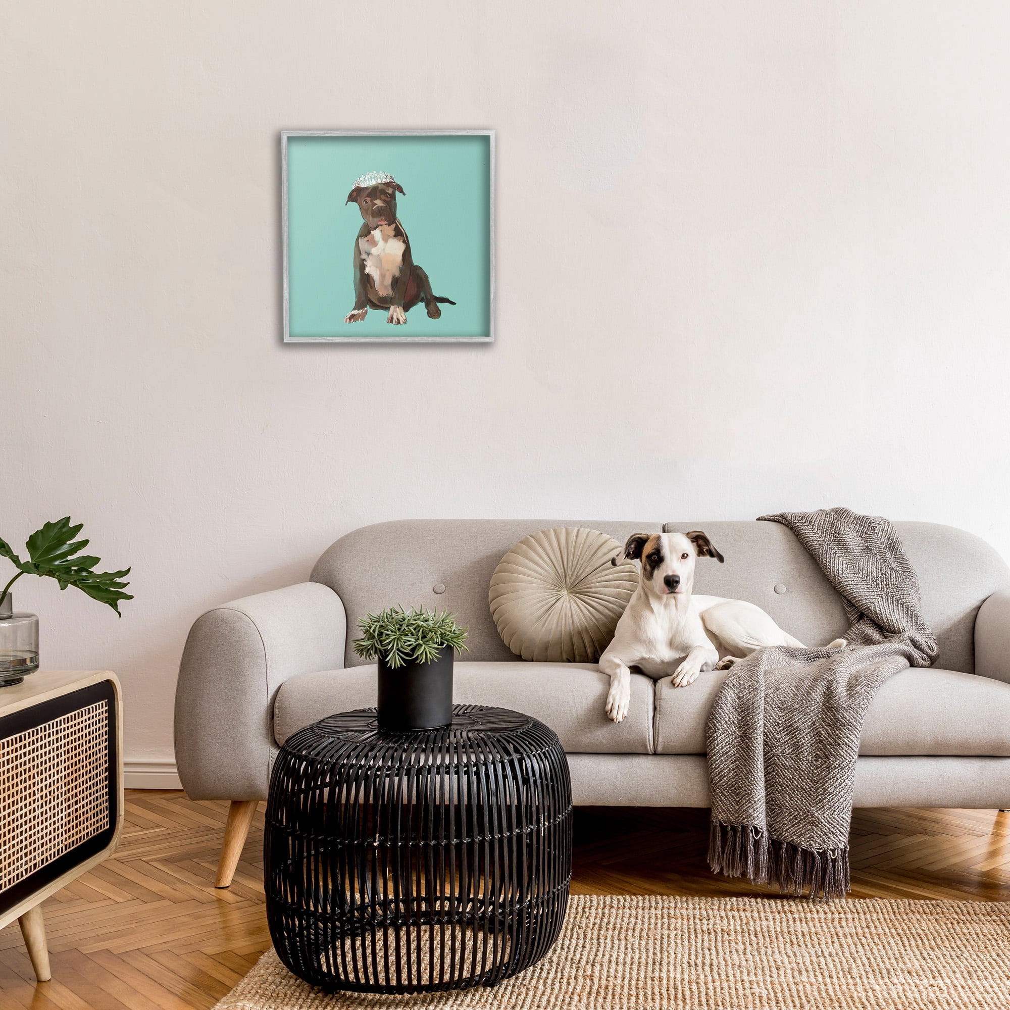 Stupell Industries Royal Pit Bull in Crown Animals & Insects Painting Gray Framed Art Print Wall Art, 24 x 24