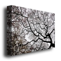 Trademark Art "Japanese Maple Spring Abstract II" Canvas Art by Kurt Shaffer