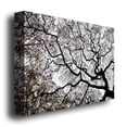 thumbnail image 3 of Trademark Art "Japanese Maple Spring Abstract II" Canvas Art by Kurt Shaffer, 3 of 3