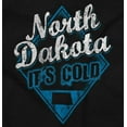 thumbnail image 2 of North Dakota It's Cold Funny Retro Hoodie Sweatshirt Women Men Brisco Brands S, 2 of 6