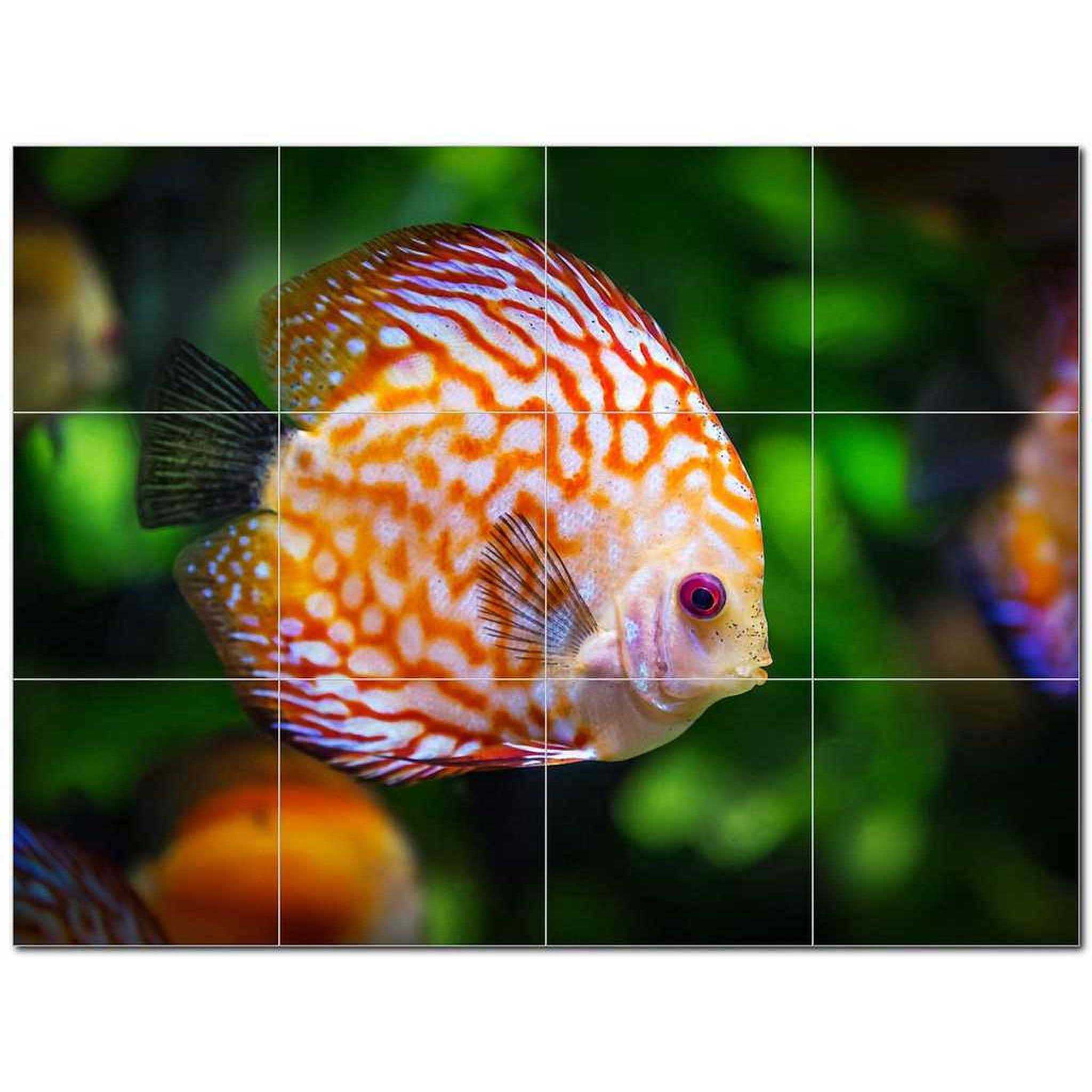 Coral Fish Underwater Ceramic Tile Mural Kitchen Backsplash Bathroom