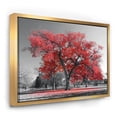 thumbnail image 1 of Designart - Big Red Tree on Foggy Day - Landscape Framed Canvas Art Print, 1 of 3