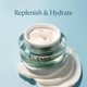thumbnail image 2 of Crema de noche ELEMIS Pro-Collagen Ultra Rich 50 ml, 2 of 5