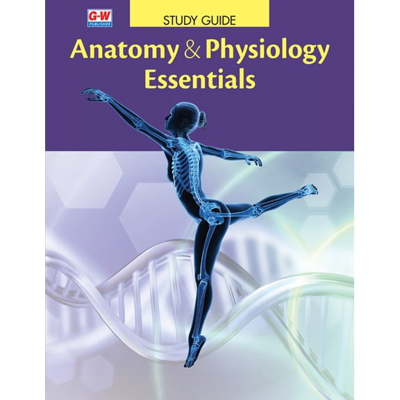 Anatomy & Physiology Essentials, (Paperback)