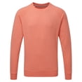 thumbnail image 1 of Russell - Jersey modelo HD con mangas ranglán para hombre (Coral mezcla), 1 of 1