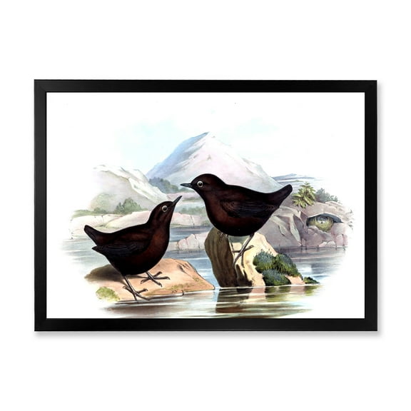 Designart 'Vintage Countryside Two Birds' Farmhouse Framed Art Print