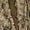 Realtree APX, variant on MidwayUSA Men's Stealth Softshell Pants Mossy Oak Original Bottomland 36X34