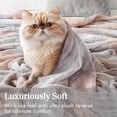 thumbnail image 3 of Ultra-Soft Poly Fur, Reversible Plush, All Season & Lightweight Fuzzy Blanket for Bed, Couch & Sofa, Zuri, King/Cal King Blush/Grey, 3 of 6