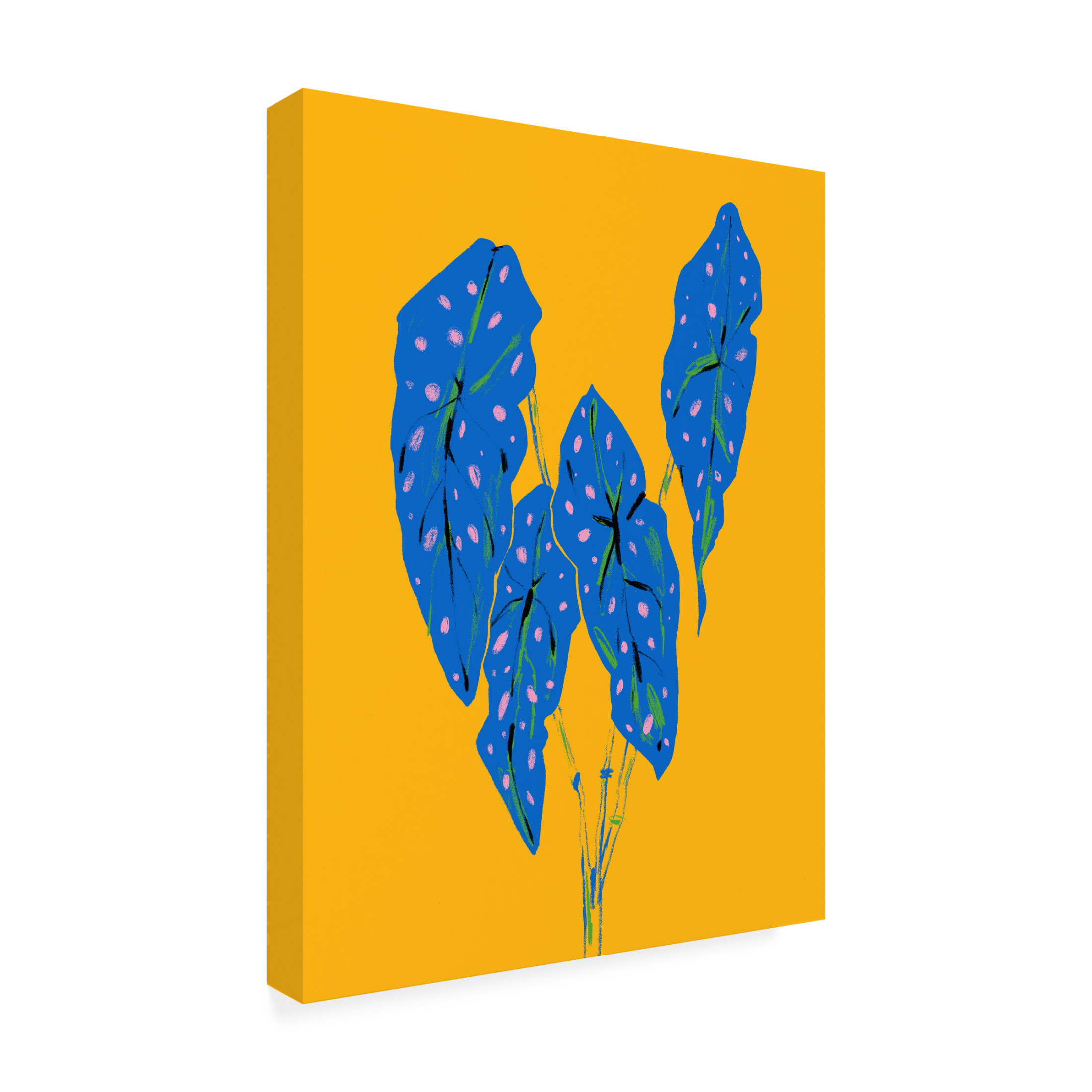 Trademark Fine Art Francesco Gulina Begonia Maculata Blue and Yellow Canvas Wall Art