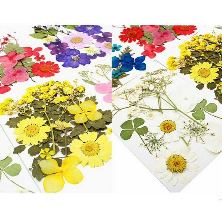 1bag Natural Dried Flower For Aromatherapy Candle Making Epoxy