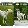 thumbnail image 2 of Correa reflectante HOWGO para perro Slip Lead con doble asa, negra, 2 of 6