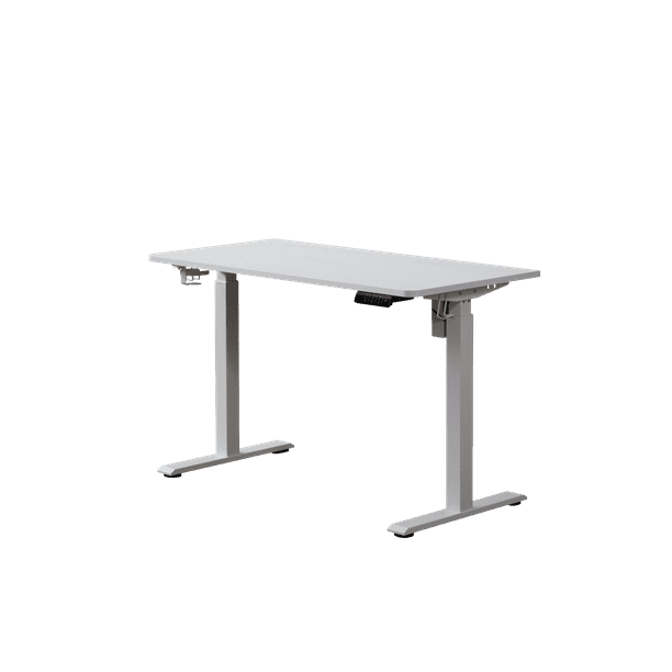 KOWO 48" K304 Electric Height Adjustable Standing Desk White