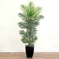 thumbnail image 4 of Nearly Natural 5.5' Paradise Palm Artificial Tree in Square Planter, Green, 4 of 4