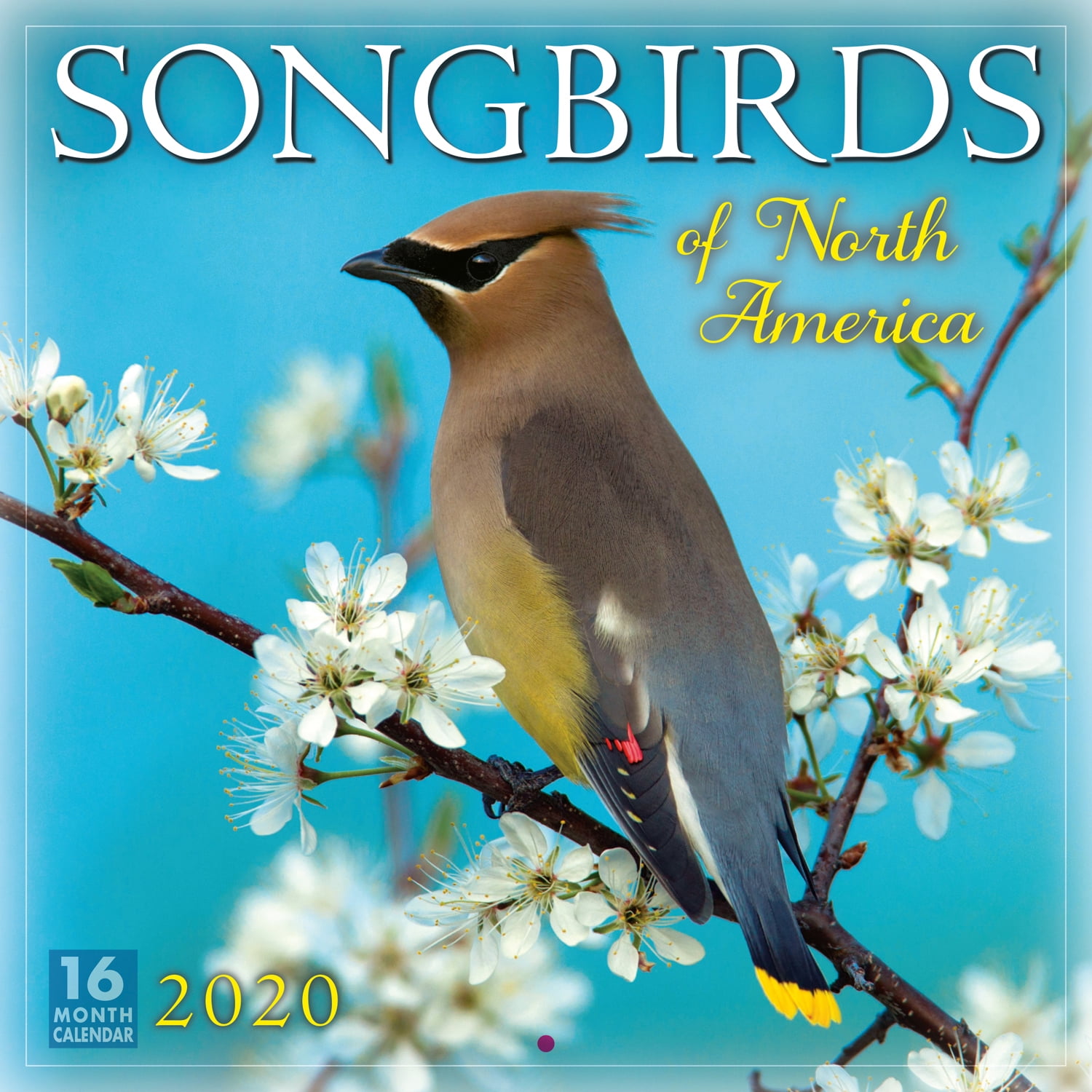 2020 Songbirds of North America 16Month Wall Calendar By Sellers
