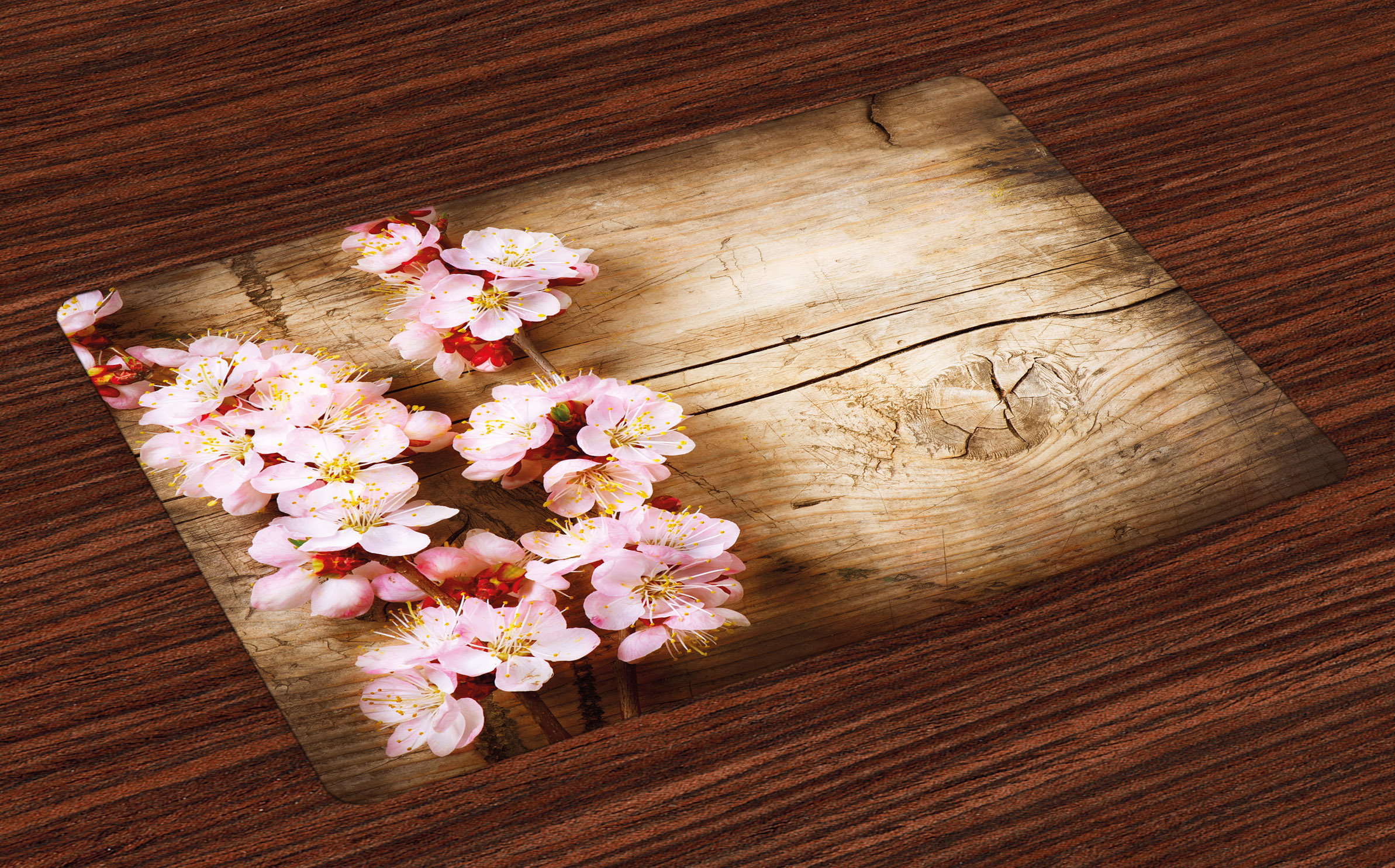 Floral Placemats Set of 4 Spring Blossom Orchard Featured Plant on